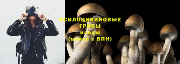 PSILOCYBIN Верхний Тагил