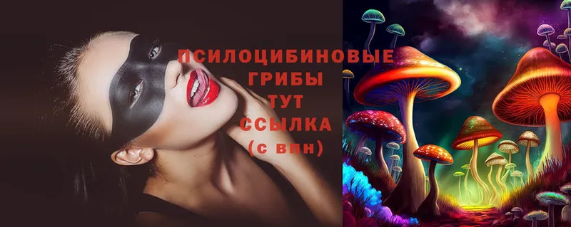 купить наркоту  Бабушкин  Псилоцибиновые грибы Psilocybe 